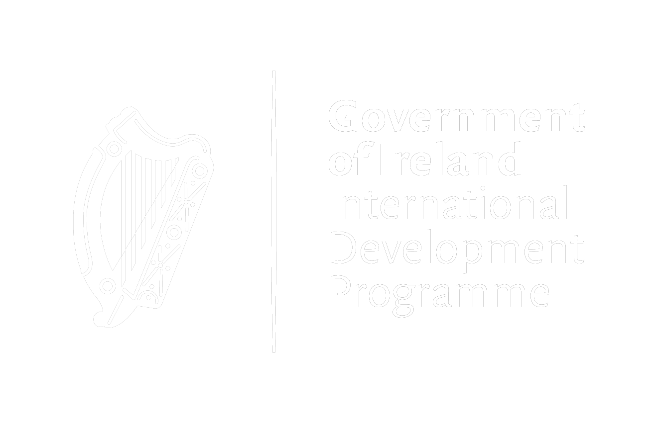 Embajada-Irlanda-Blanco